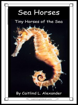 cover image of Sea Horses